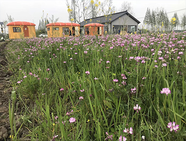 江蘇常州金壇客戶實景拍攝面包屋①