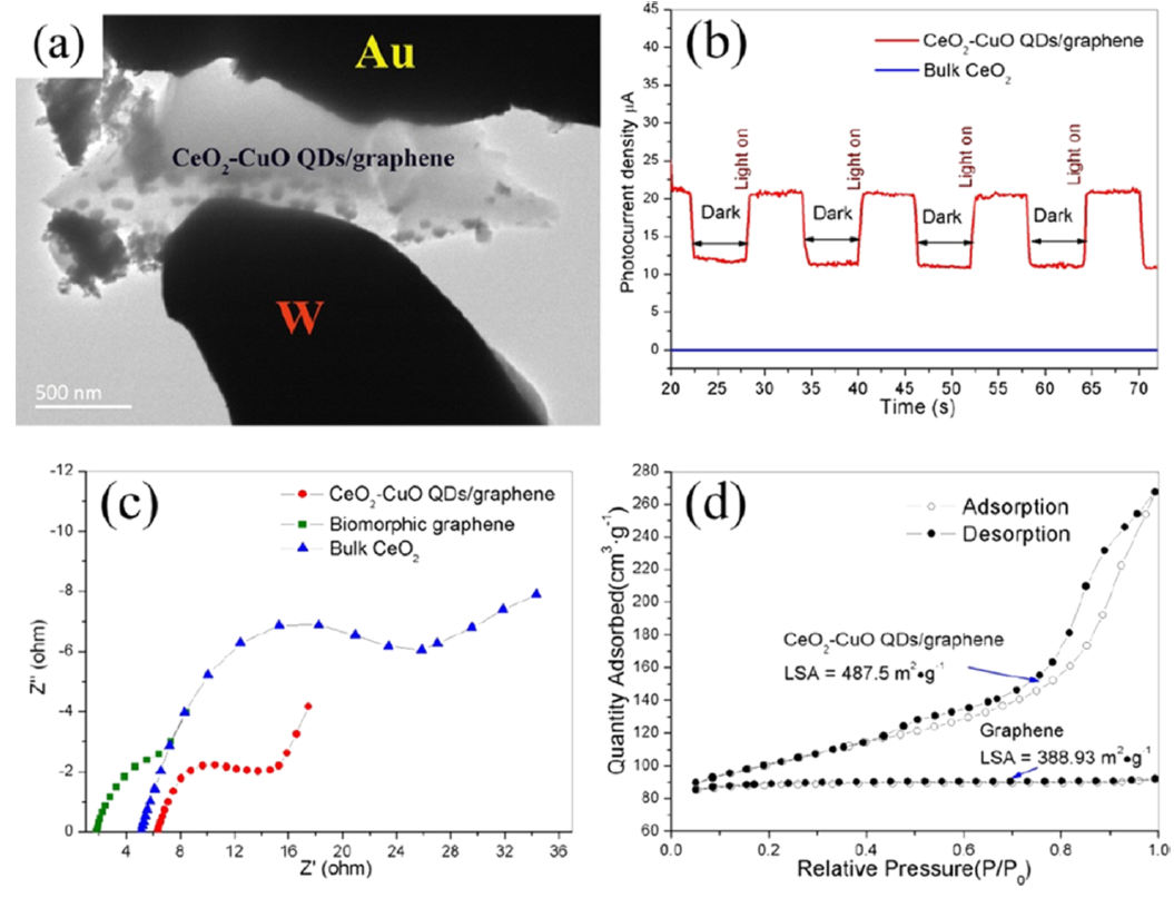 PicoFemto原位光學(xué)-電學(xué)樣品桿應(yīng)用 PicoFemto原位光學(xué)-電學(xué)樣品桿應(yīng)用