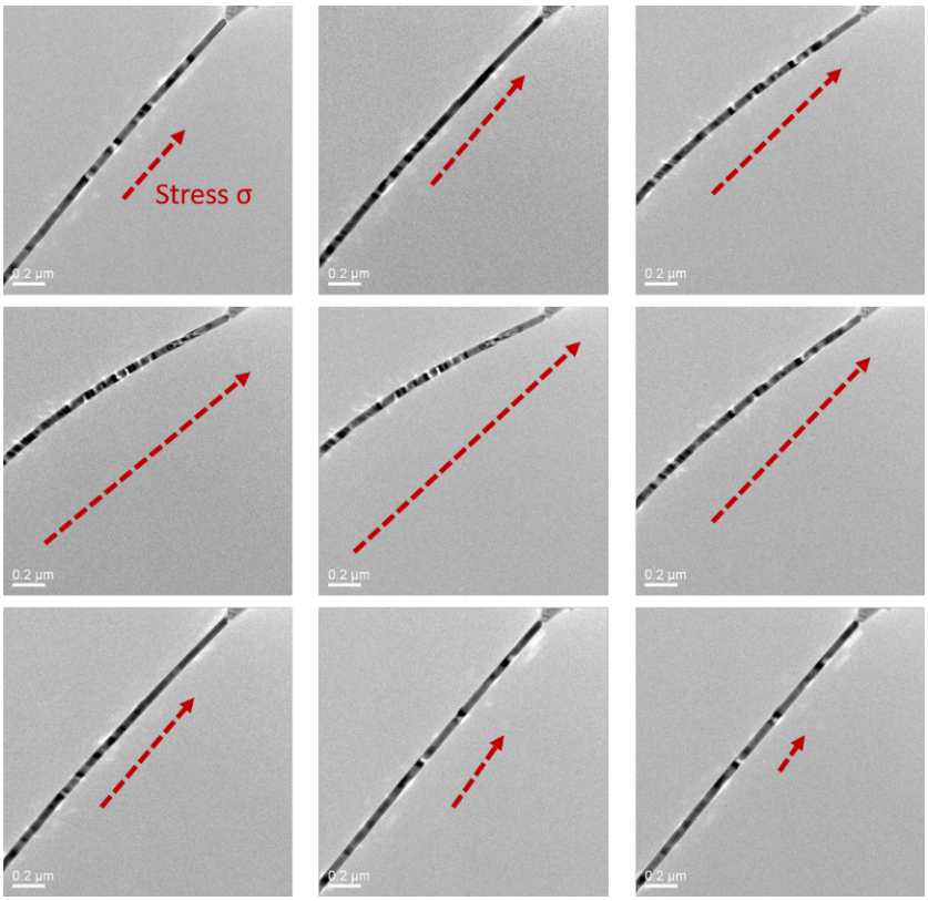 透射電鏡原位力電一體樣品桿觀察 透射電鏡原位力電一體樣品桿觀察