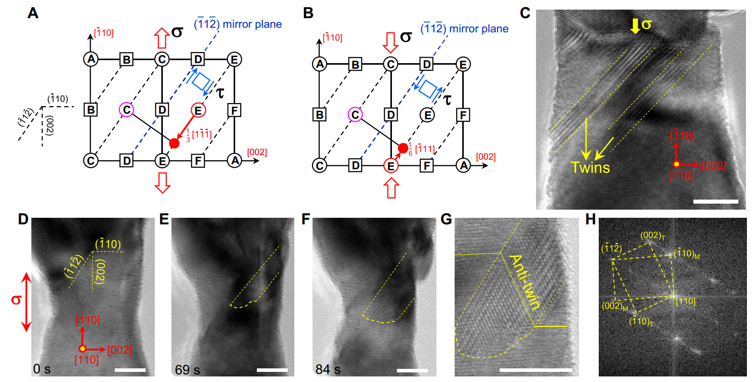 原位采集的TEM照片 原位采集的TEM照片
