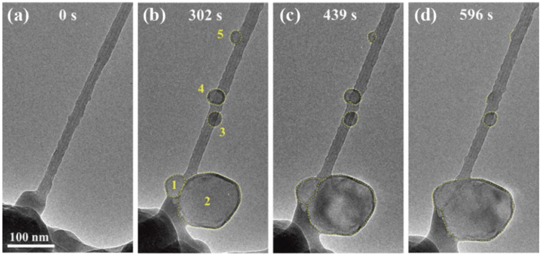 圖2 沉積在MWCNT/Na2CO3/CO2上的納金屬的EOR過(guò)程 圖2 沉積在MWCNT/Na2CO3/CO2上的納金屬的EOR過(guò)程