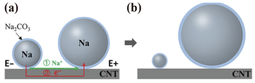 圖3 電化學(xué)奧斯瓦爾德熟化路徑1 圖3 電化學(xué)奧斯瓦爾德熟化路徑1