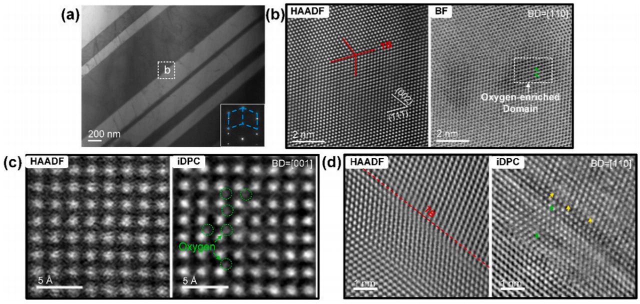 NiCoCrO合金中孿晶表征 NiCoCrO合金中孿晶表征