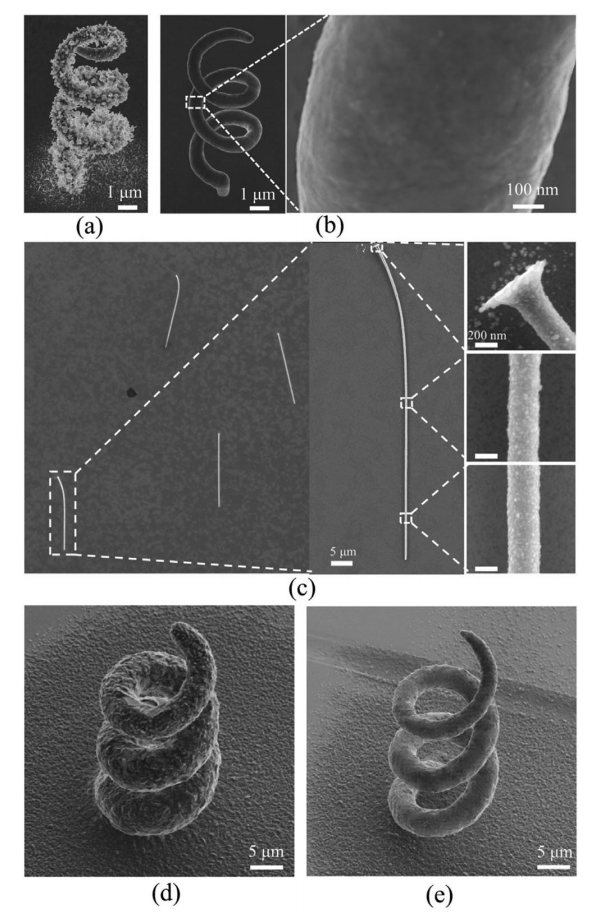 掃描電子顯微鏡 掃描電子顯微鏡