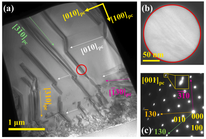 透射電子顯微鏡明場(chǎng) 透射電子顯微鏡明場(chǎng)