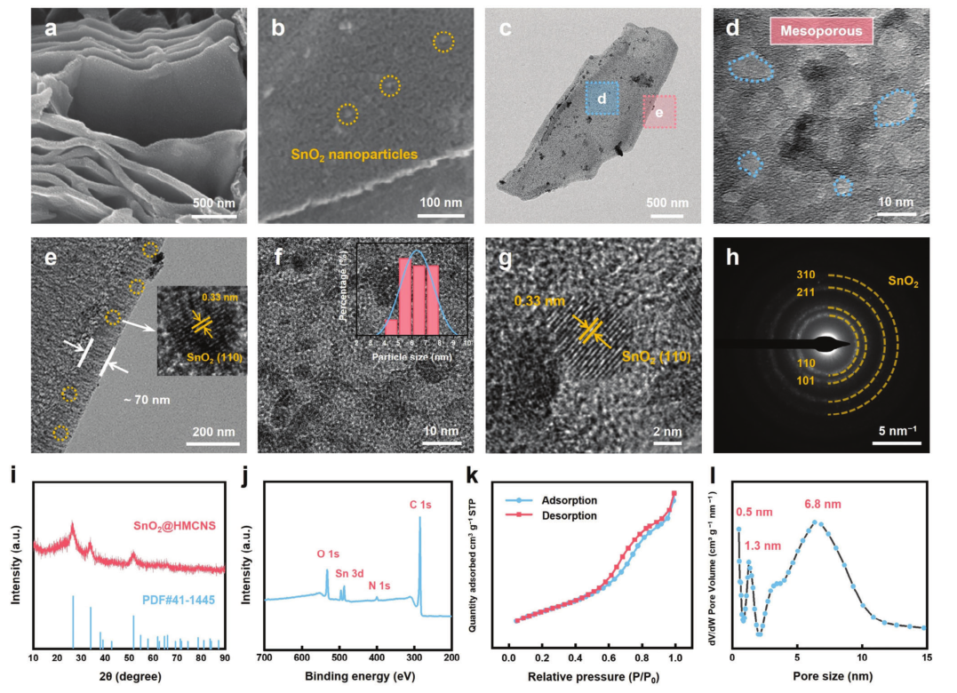 SnO?@HMCNS的SEM圖像