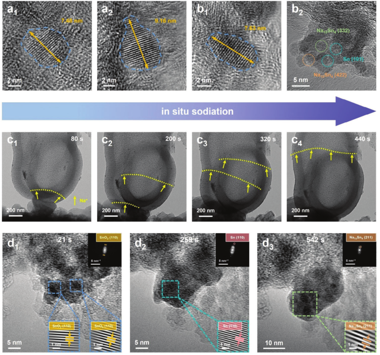 澤攸科技原位TEM