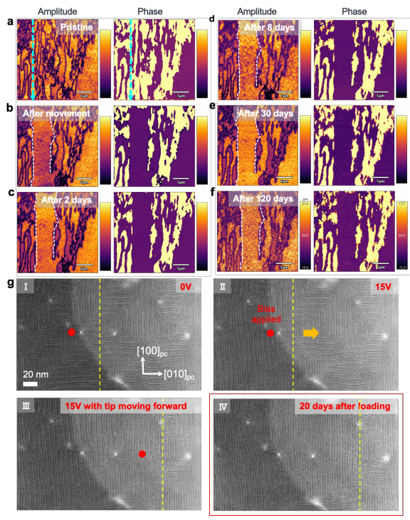澤攸科技原位TEM 澤攸科技原位TEM