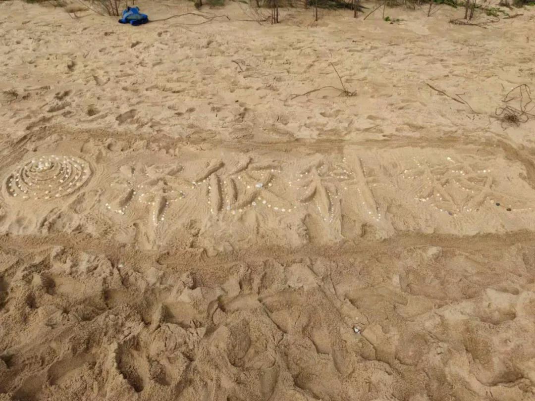 貝殼拼成的澤攸科技LOGO 貝殼拼成的澤攸科技LOGO